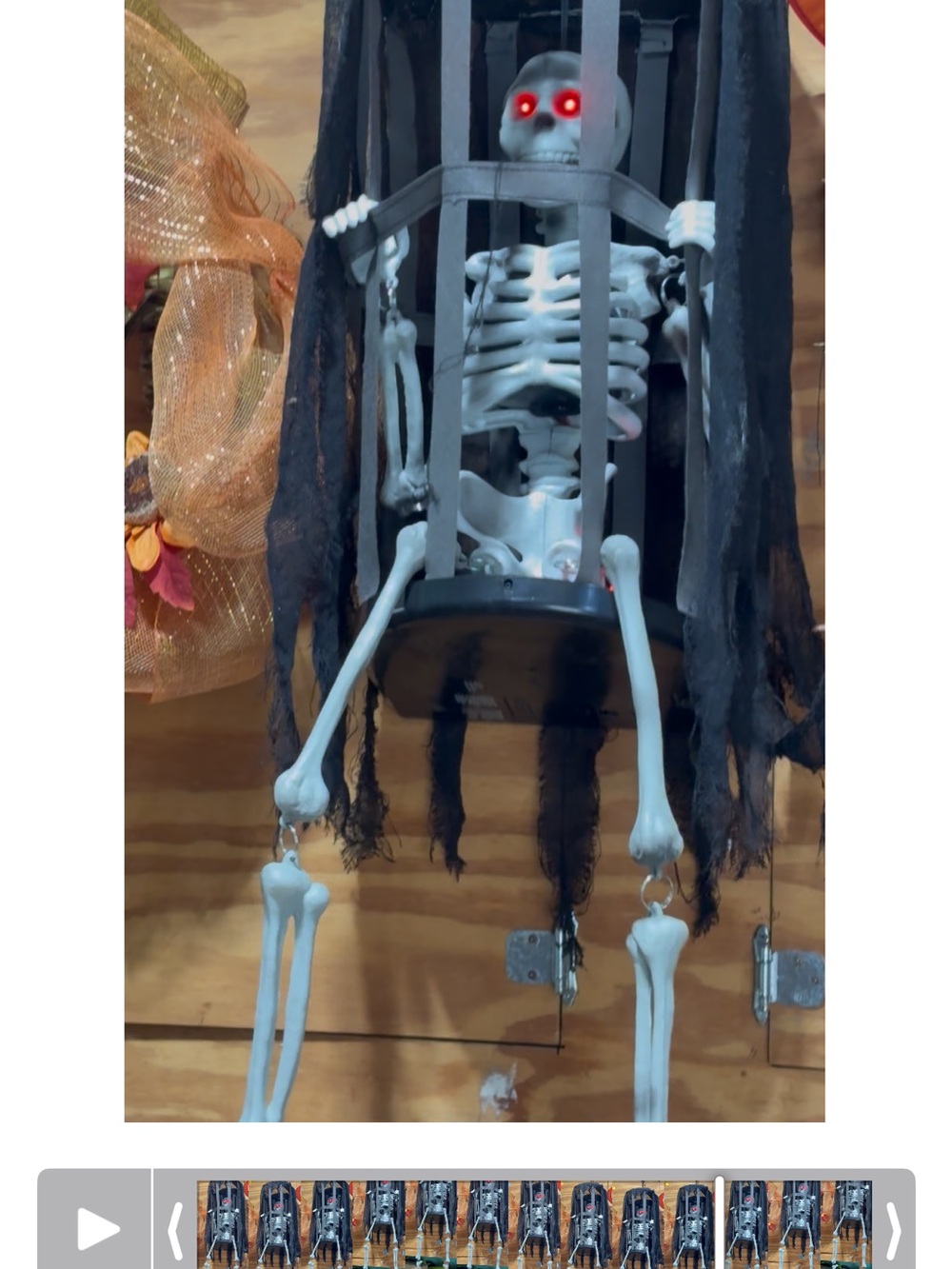 Spooky Hanging Skeleton Cage Décor - Black and White